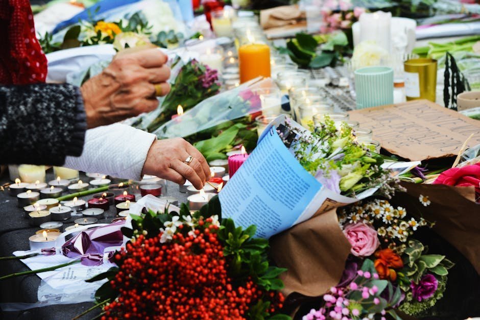 Free stock photo via Pexels