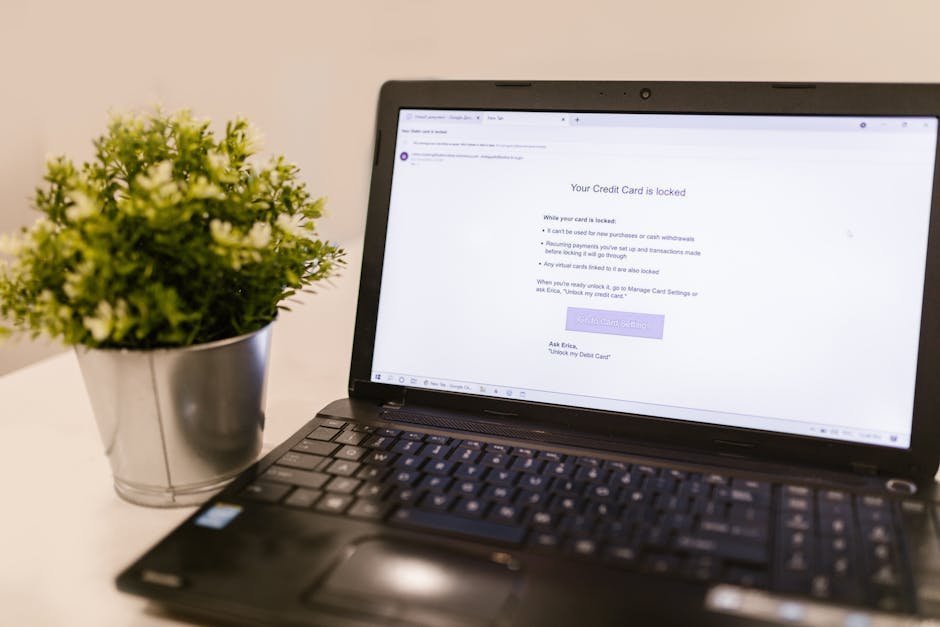 Computer screen showing credit freeze enrollment used during gambling crisis intervention