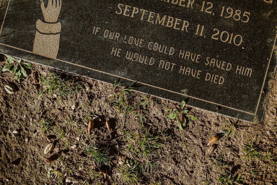 Pet memorial garden with engraved stones and flowers in a quiet outdoor remembrance space