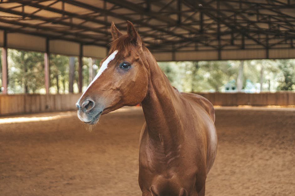EAGALA certified equine specialist and licensed therapist team facilitating ground based session