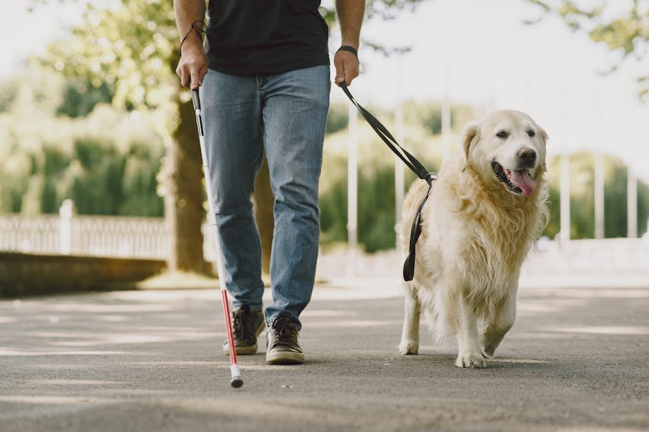 Free stock photo via Pexels
