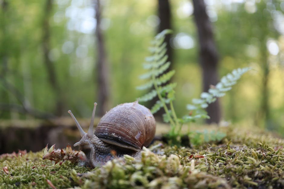 Slow sensory walk forest floor close up of moss and fungi during forest therapy session